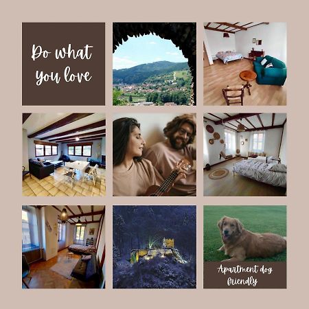 Apartament Gite Chez Lulu Proche Du Chateau De Schirmeck Zewnętrze zdjęcie